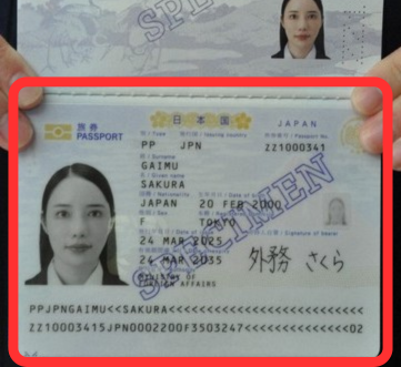 パスポート撮影例